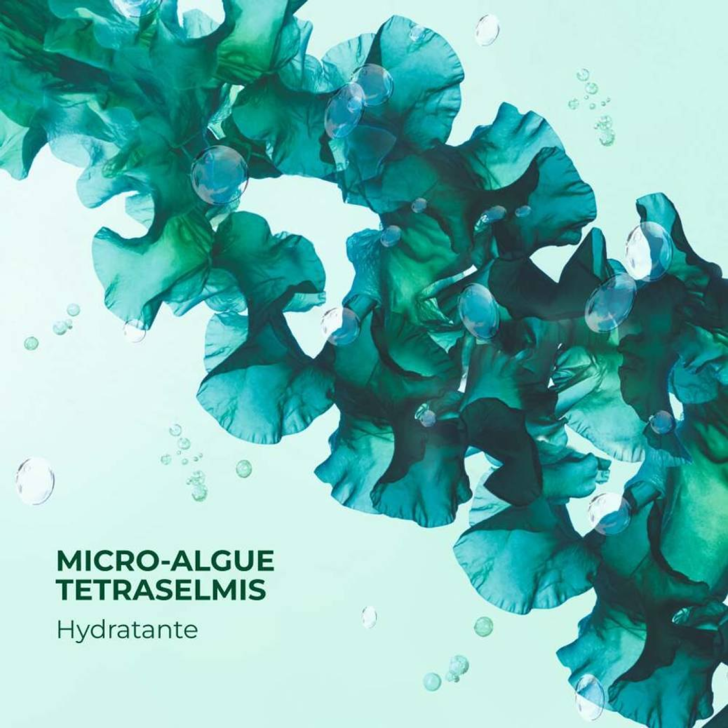 Le Gel Nettoyant Fraîcheur