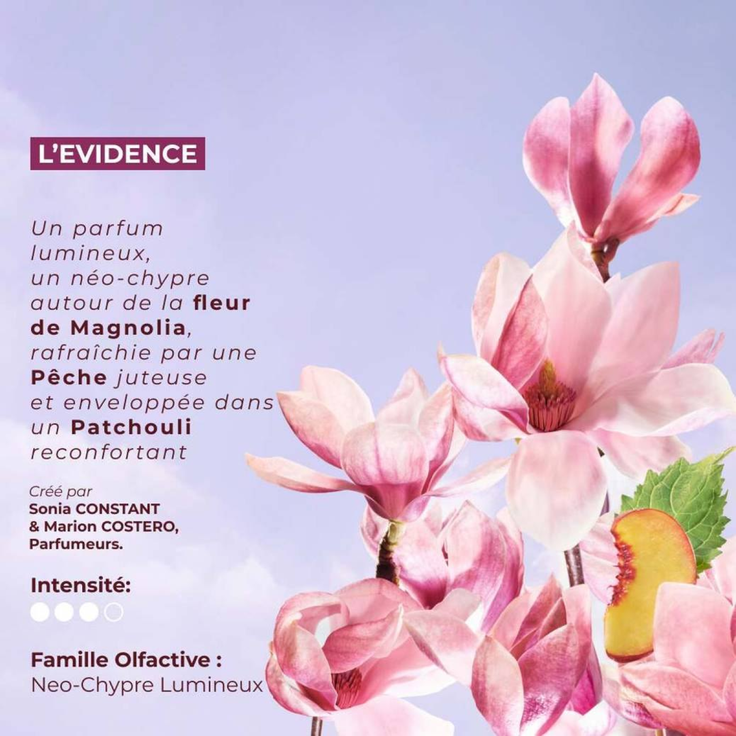 L'Evidence - Eau de Parfum