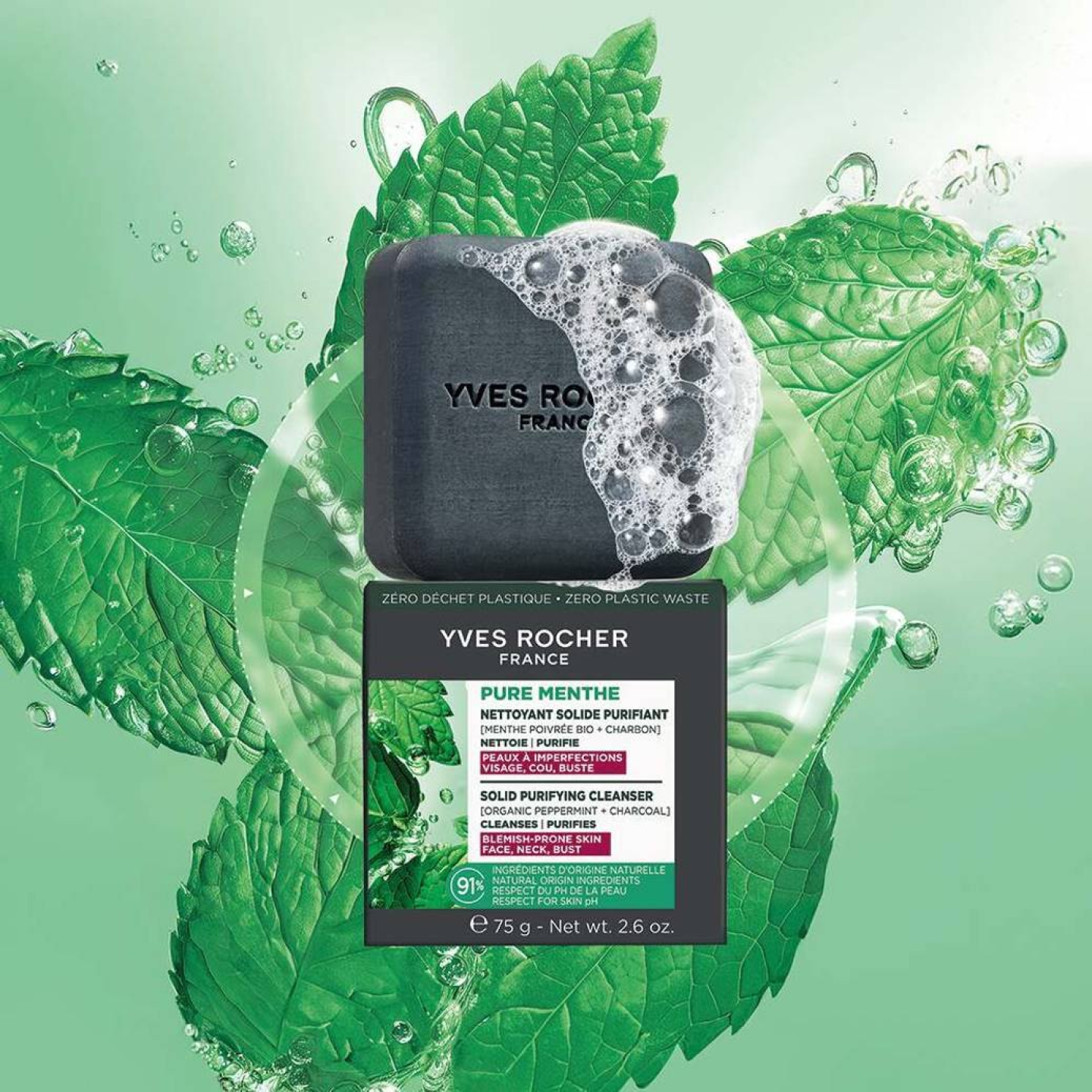 Nettoyant Solide Purifiant