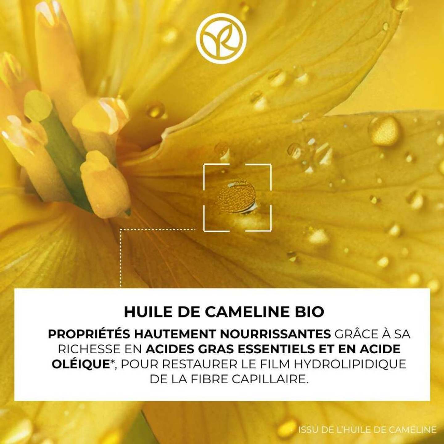 Masque Ultra-Nourrissant