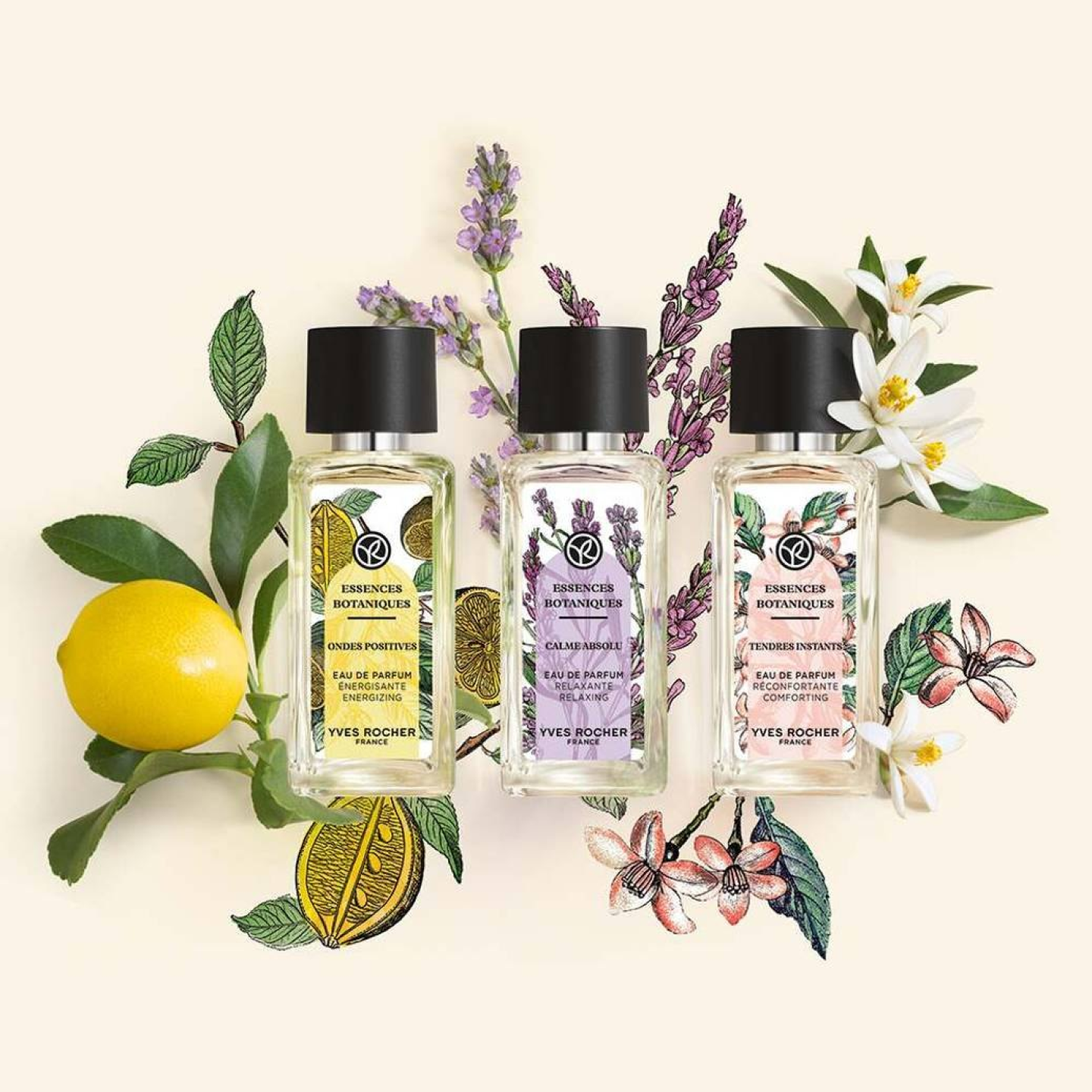 Tendres Instants - Eau de Parfum
