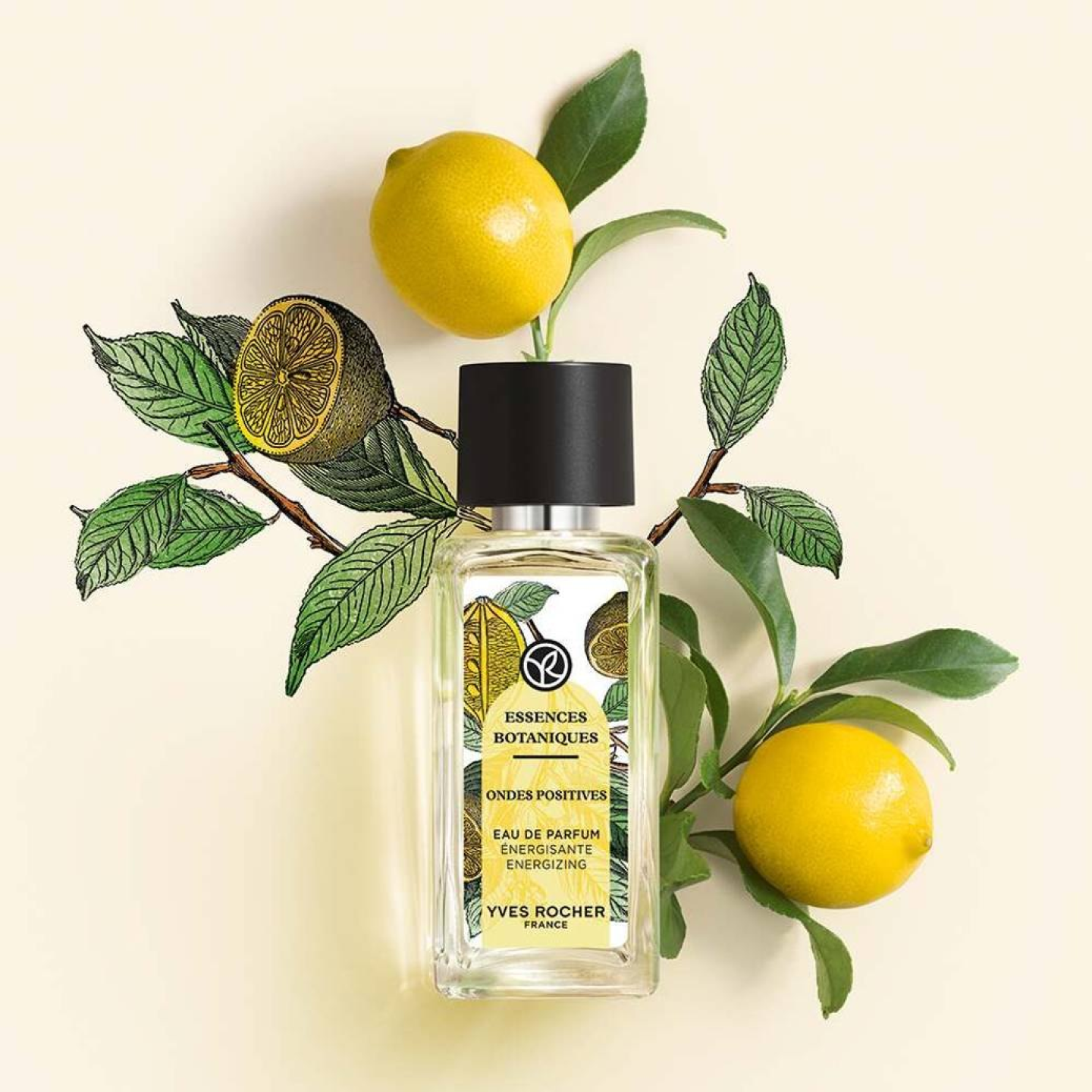 Ondes Positives - Eau de Parfum