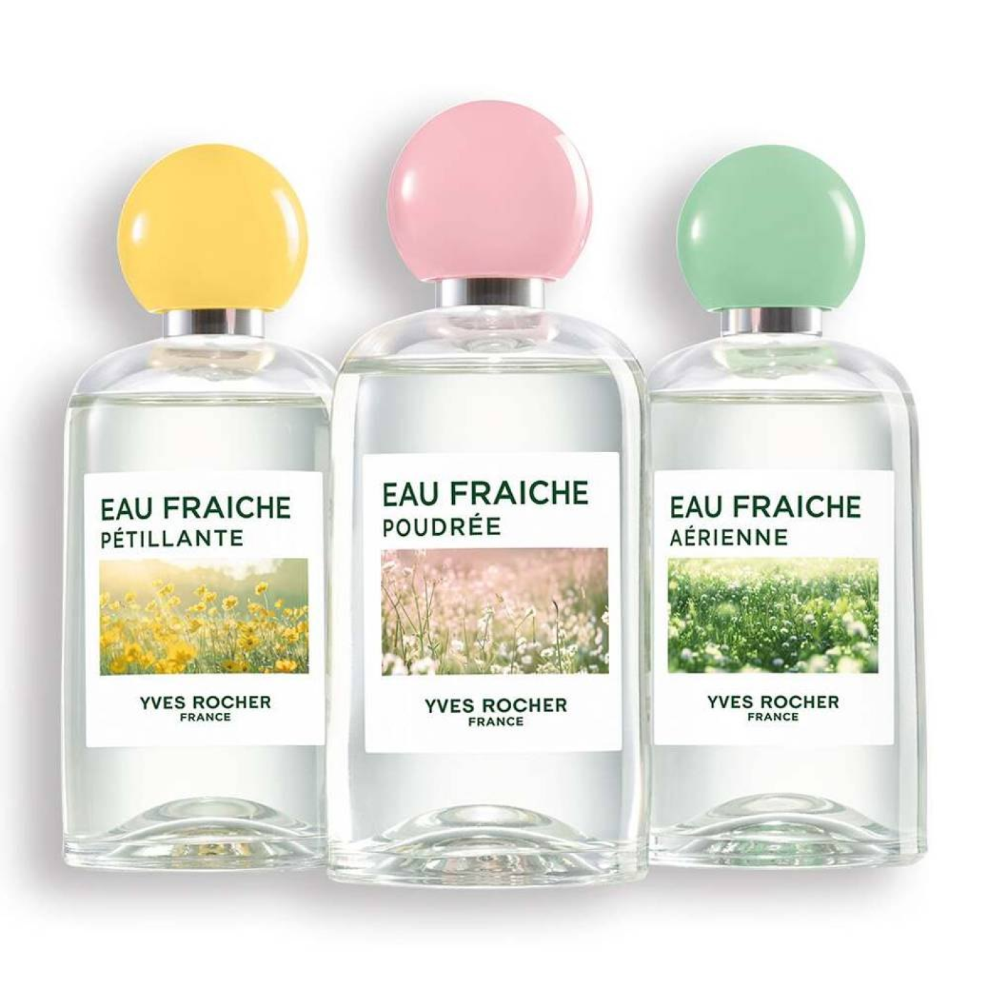 Eau Fraîche Pétillante - Citron & Baies Roses