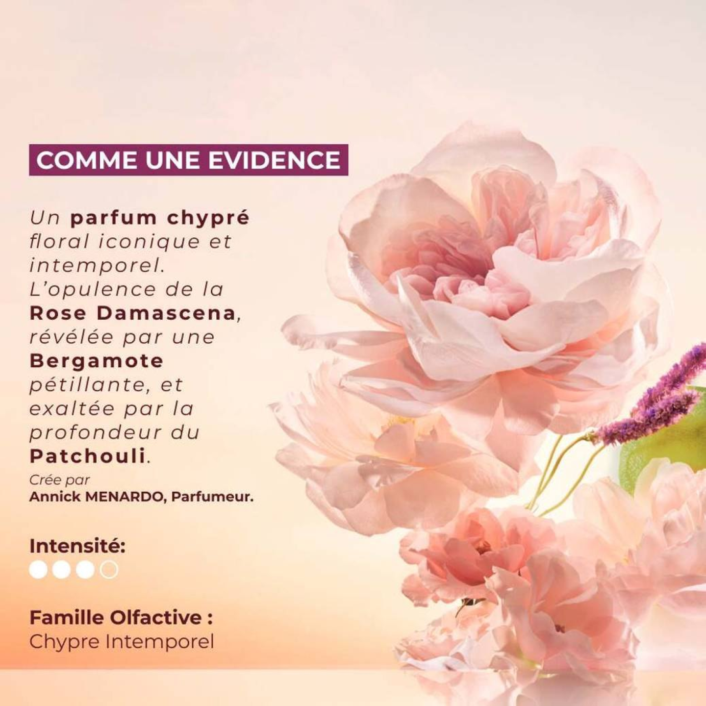 Comme Une Evidence - Lait Corps Parfumé