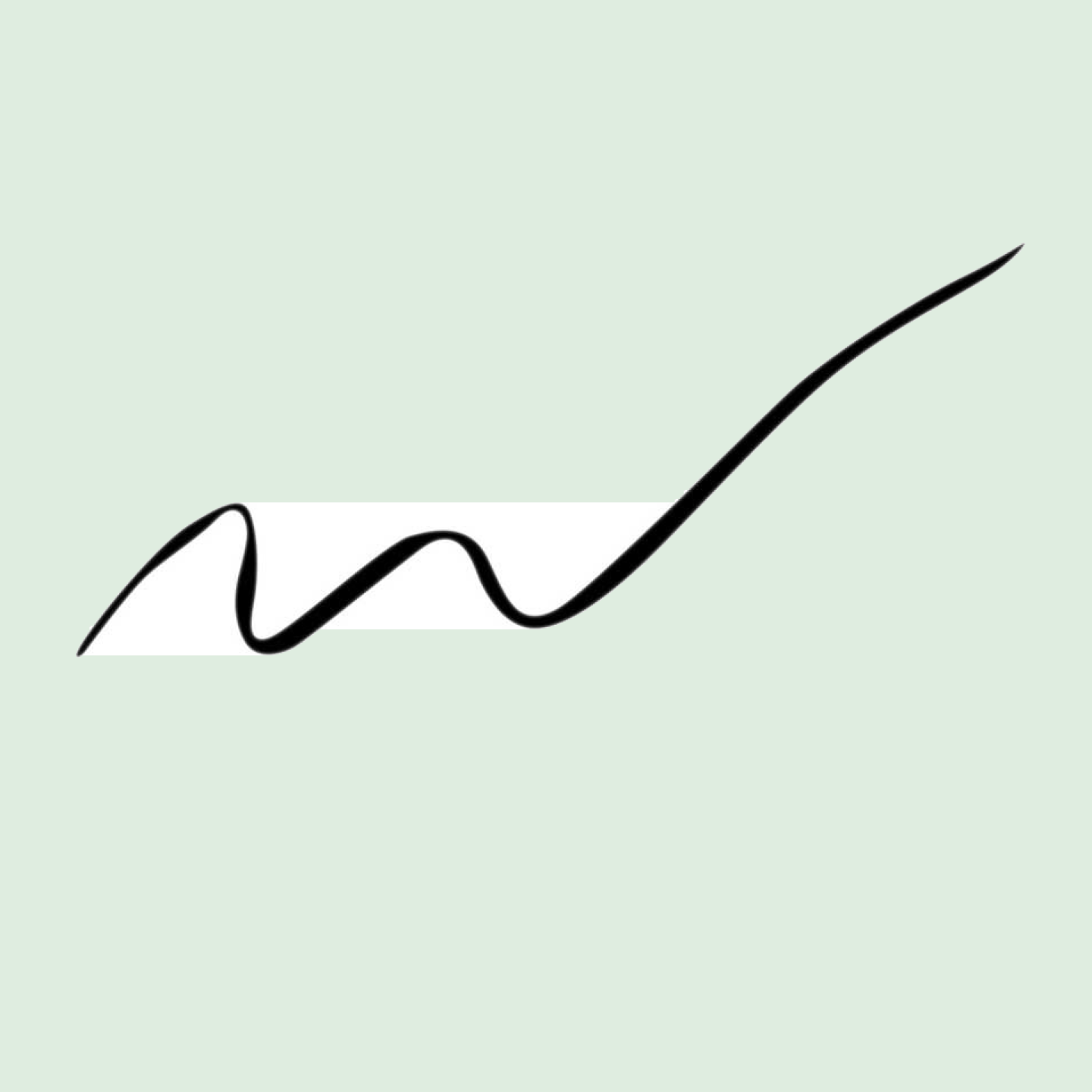 Eyeliner Liquide - Noir Mat