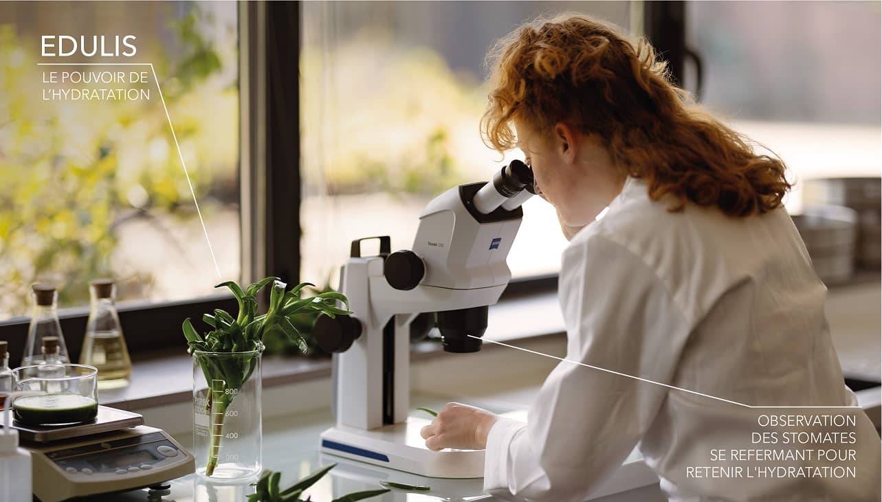 Femme observant de l’edulis au microscope