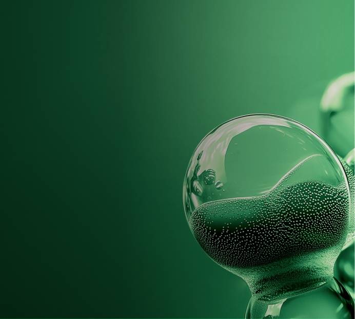 Formulation bio-assimilable