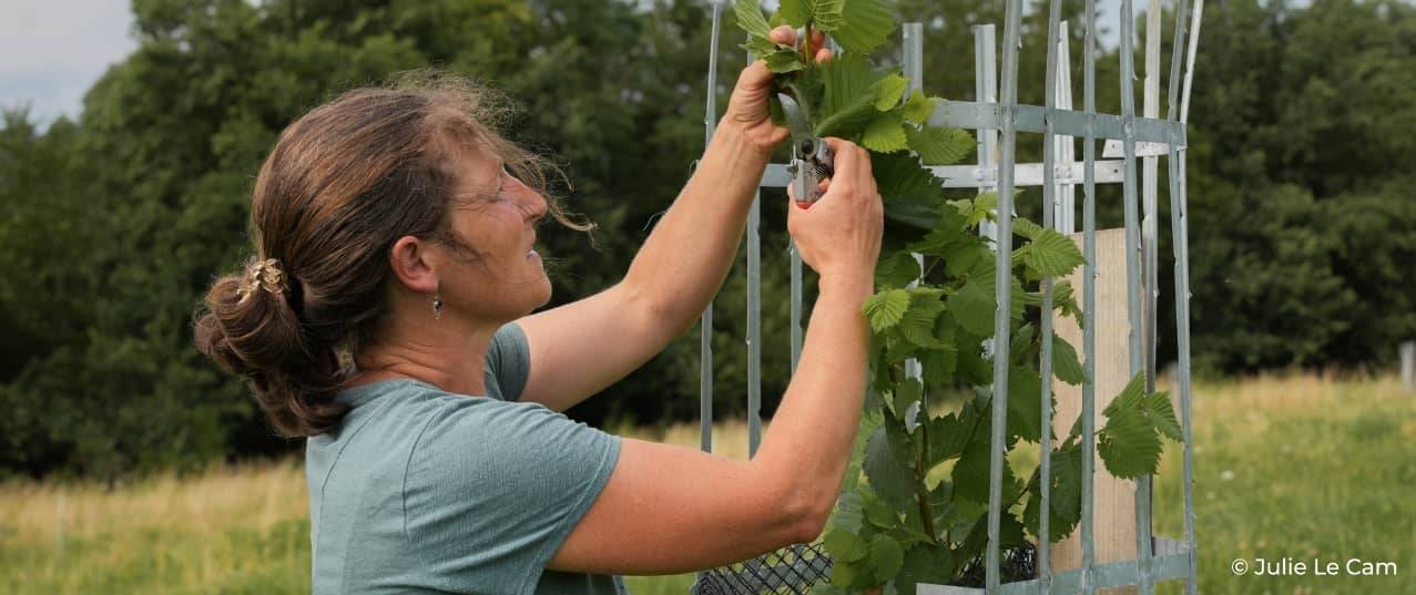 Plantation d'arbres du programme Plant for Life
